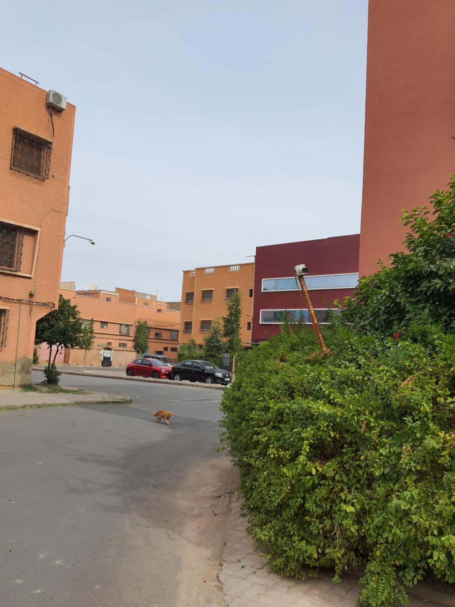 Apartmán Marrakech Marakéš Exteriér fotografie